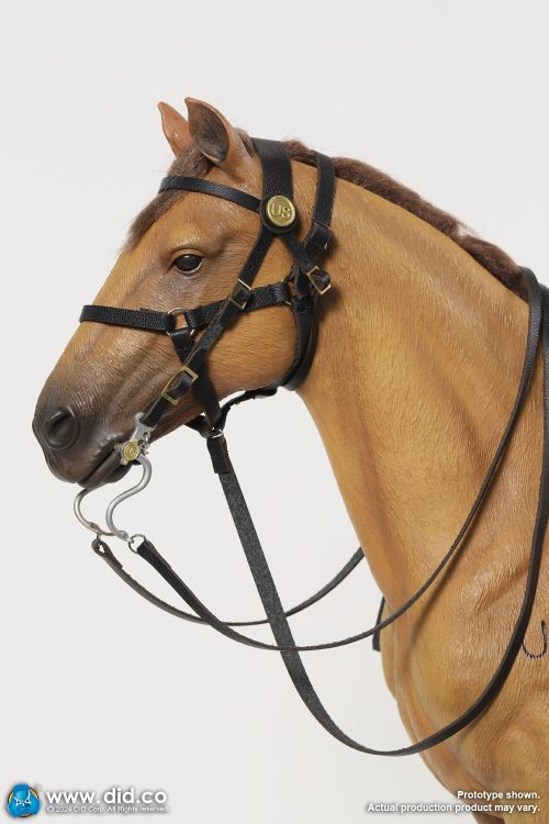 DiD Brown Standing War Horse - US Civil War Era with Tack #5
