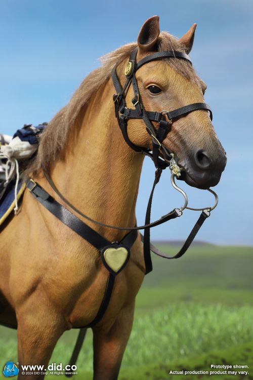 DiD Brown Standing War Horse - US Civil War Era with Tack #2