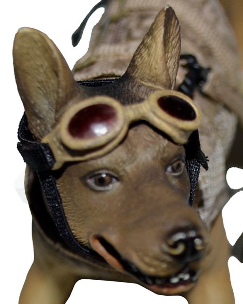 Military Snarling Dog