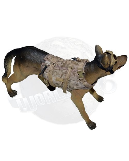 Military Snarling Dog #5