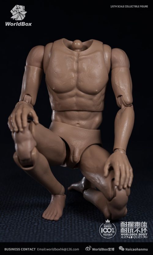 WorldBox Durable 1/6 Scale Male Body w/ Neck #5
