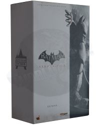 Hot Toys Batman Arkham City
