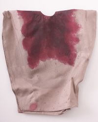 TWD Carol Female Character Set: Blood Soaked Poncho