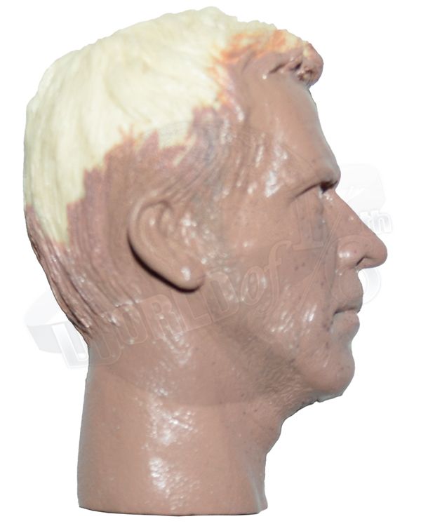 World of One Sixth Originals Dr. House Head Sculpt #3