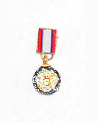 DiD George S. Patton: Distinguished Service Medal (Version 2)