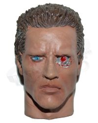 Terminator 2 Finely Painted Head Sculpt (Resin)
